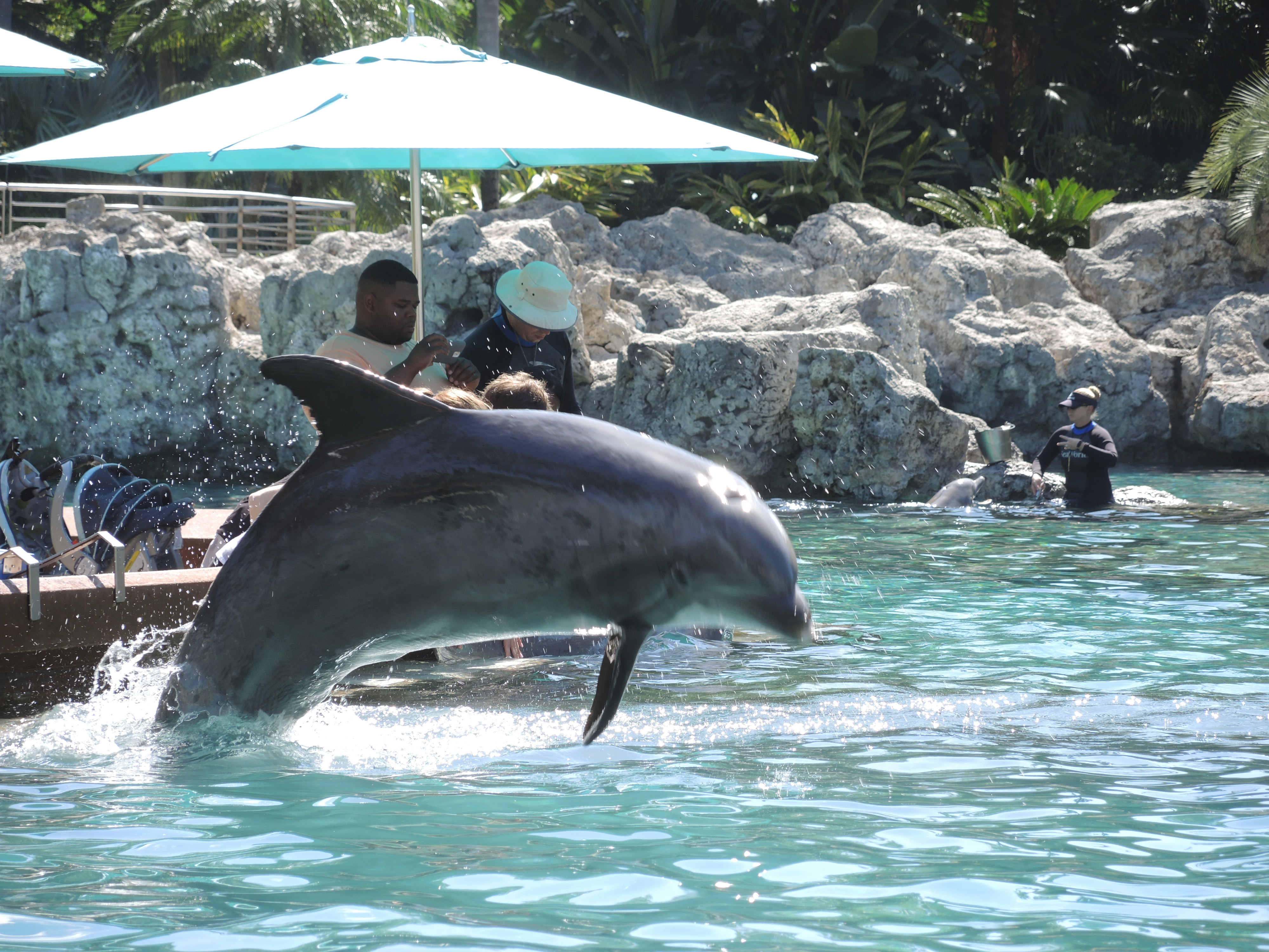 Dubai, Please Keep SeaWorld Out!