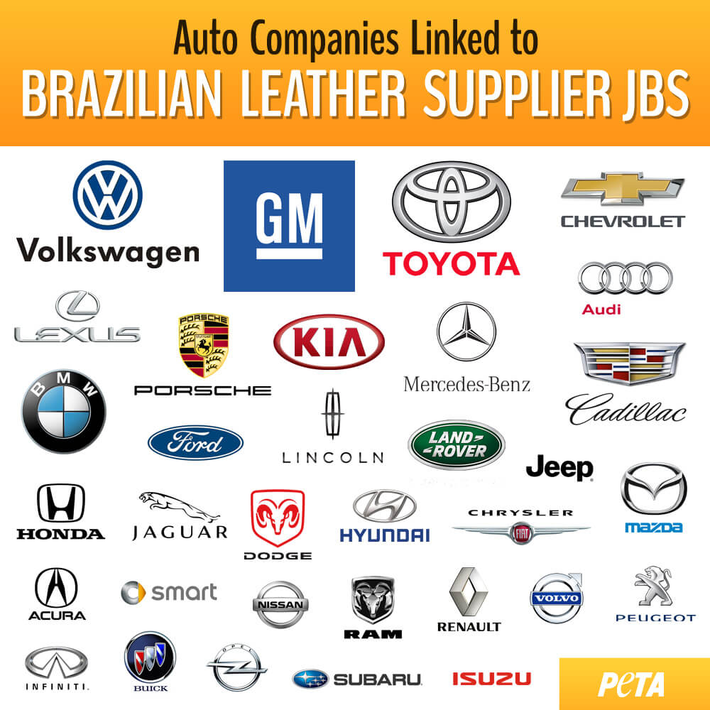 JBS-linked-car-company-infographic