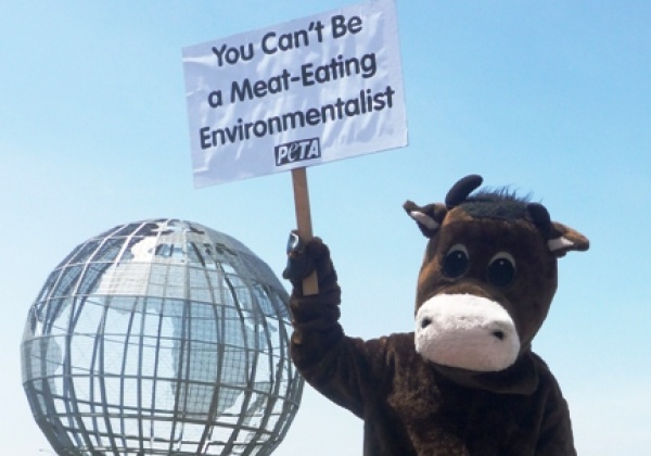 ‘Gassy Cow’ Arrested Protesting Al Gore in Manila