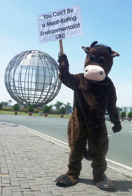 ‘Gassy Cow’ Arrested Protesting Al Gore in Manila