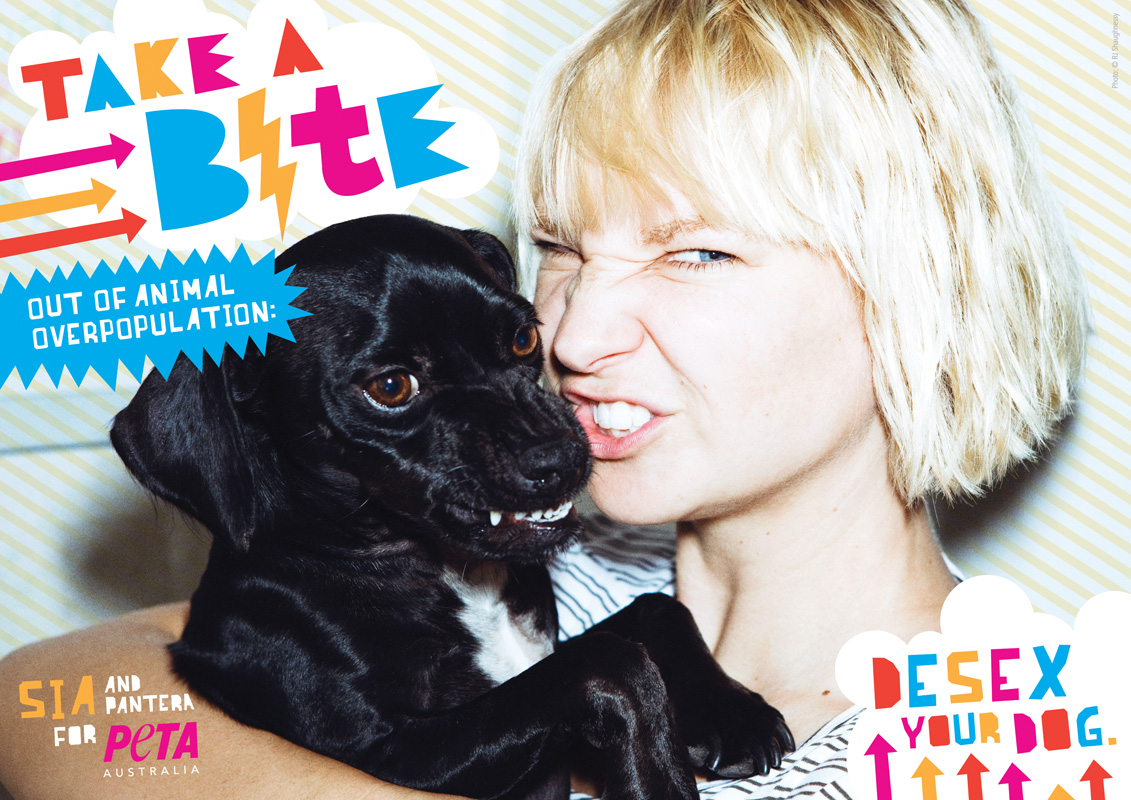 Sia Wants You to ‘Take a Bite Out of Animal Overpopulation’