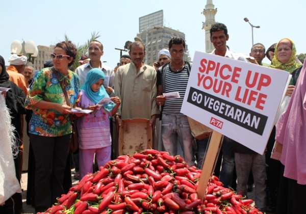 Chili Chicks Heat Up Cairo
