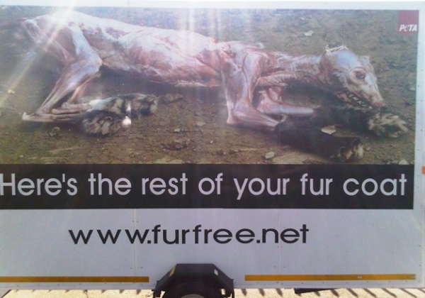 Anti-Fur Message-on-Wheels Rocks Jo’burg
