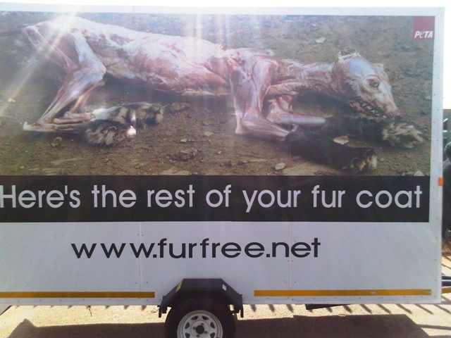 Anti-Fur Message-on-Wheels Rocks Jo’burg