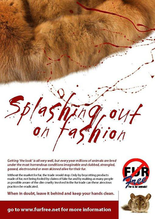 South Africa Fur Free Poster Contest