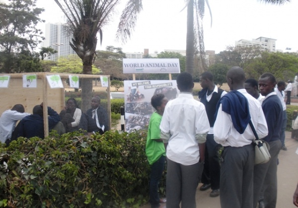 Compassionate Kenyans Cram Themselves Into Cage for World Animal Day