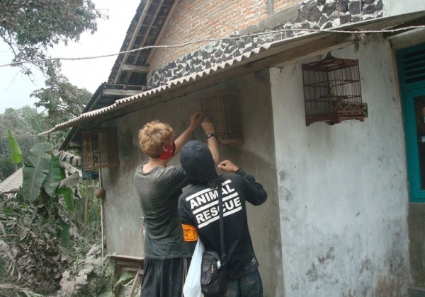 Activists Organize Post-Eruption Rescue at Mount Merapi