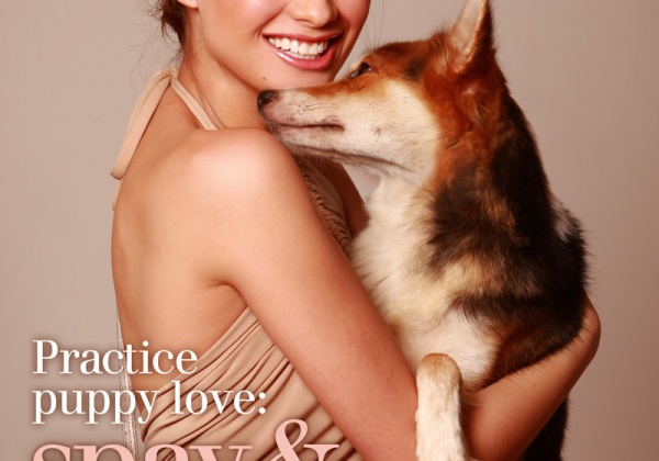 Filipina Model Stars in New Spay-and-Neuter Ad!