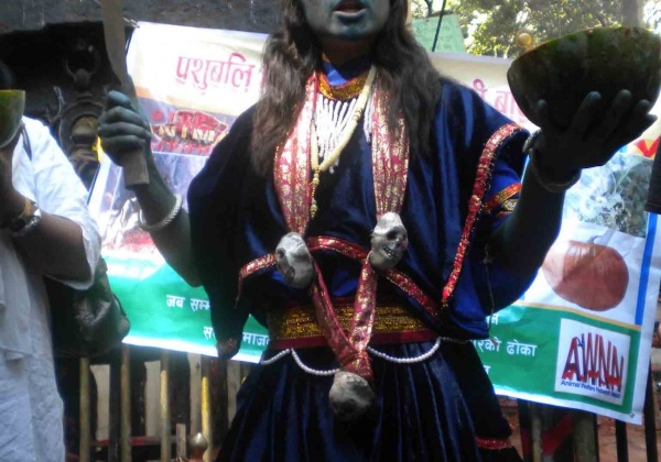 Nepalese Activists Demand Vegetarian Sacrifice of Coconuts and Pumpkins