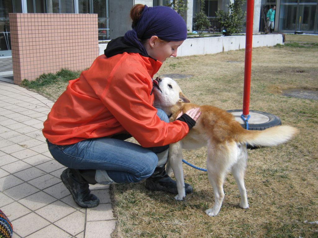 PETA’s Work After the 2011 Japan Earthquake