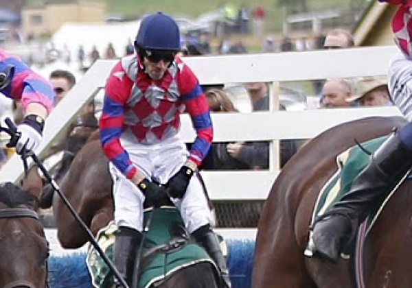 Horses Weren’t Meant for Jumping!