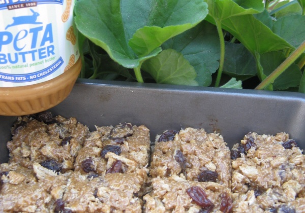 Recipe: Shredded Wheat Peanut Butter Bars