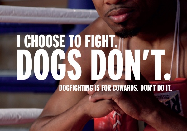 Pacquiao Opponent ‘Sugar’ Shane Mosley Has a Soft Spot for Animals