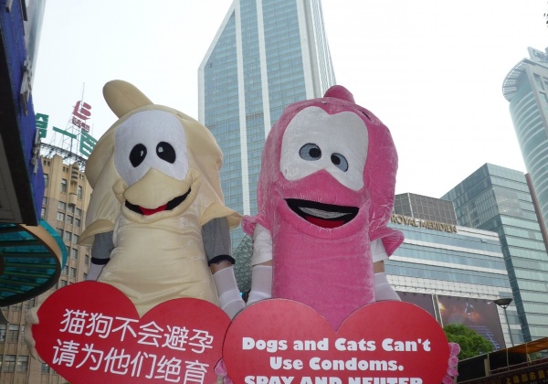 PETA’s Condoms Hit the Streets in Shanghai