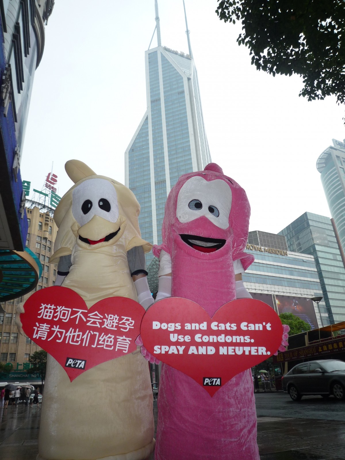 PETA’s Condoms Hit the Streets in Shanghai