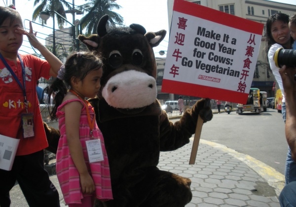 Why I Love Working at PETA Asia