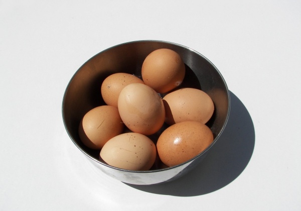 Eating Eggs? You’re on the Fast Track to Cancer!