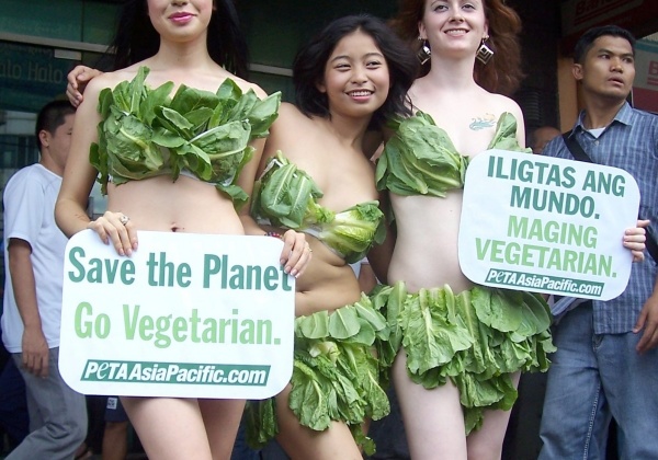 Lettuce Ladies Take Over the World!