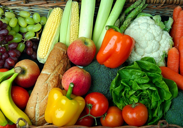 Nutritionists: Plant-Based Diet Good for Kids