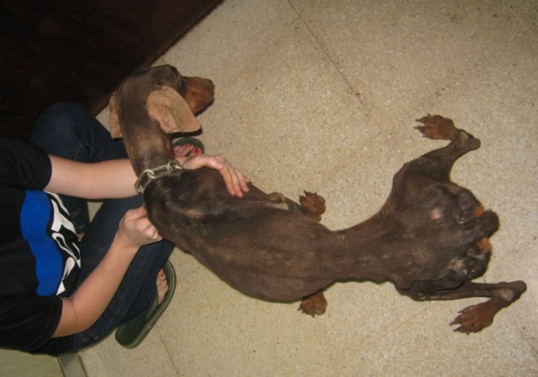 Meet Grace! (Photos)