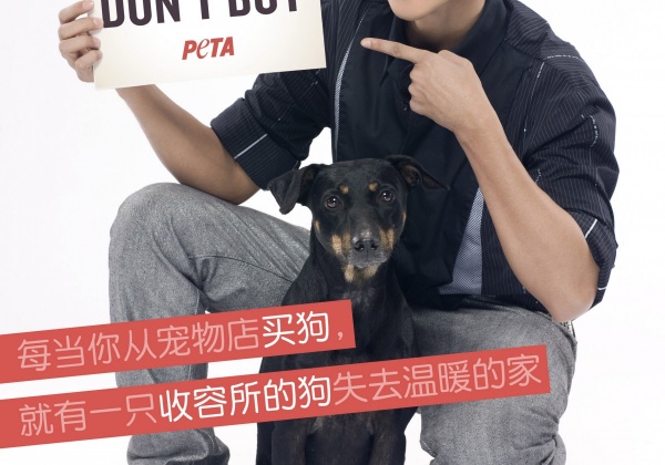 Show Luo Takes a Stand Against Animal Homelessness