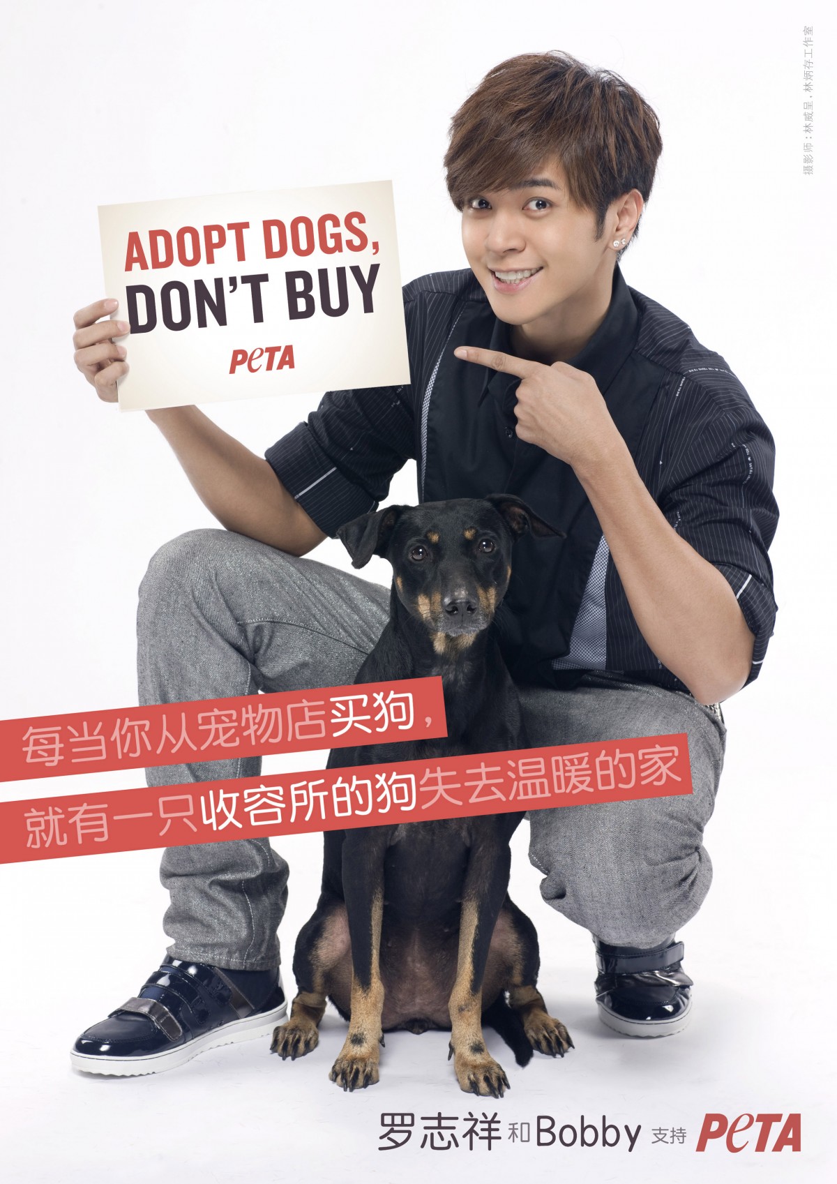 Show Luo Takes a Stand Against Animal Homelessness