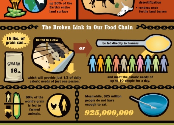 Feeding the Future (Infographic)