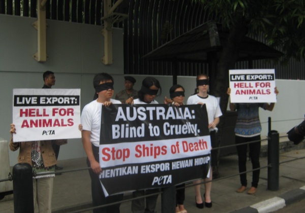 Demo Roundup: Activists Speak Out Against Live Export and Mulesing
