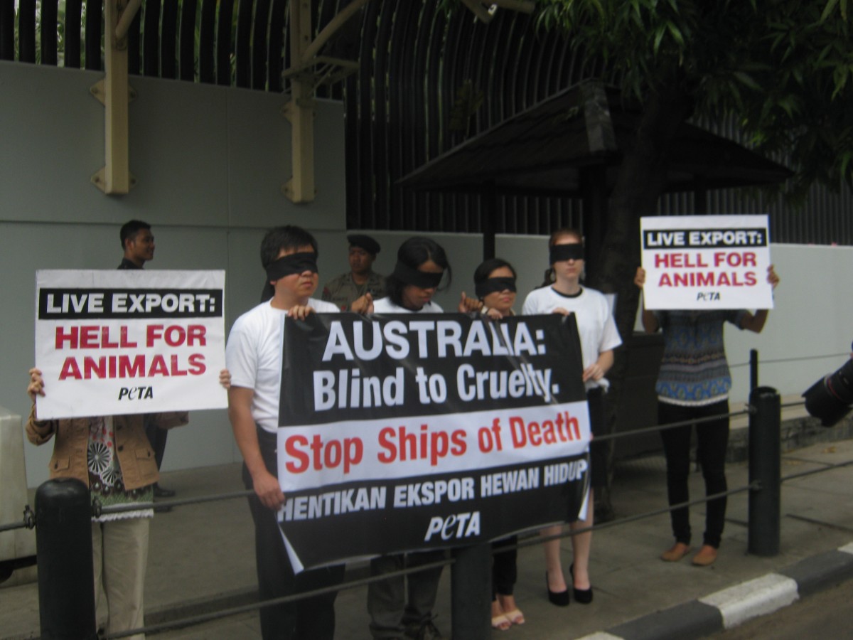 Demo Roundup: Activists Speak Out Against Live Export and Mulesing