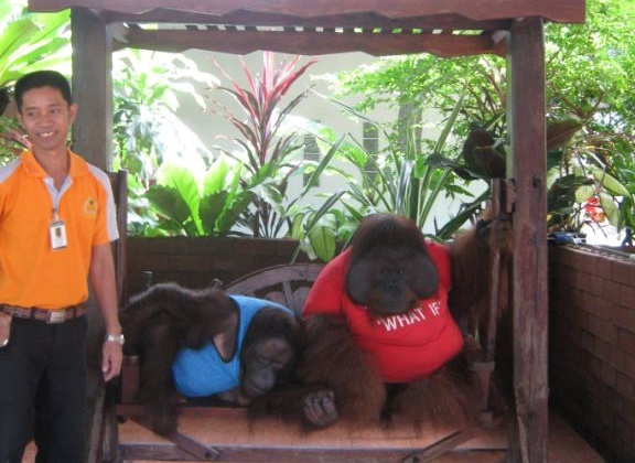 Appalling Animal Attractions, Part 2: Sriracha Tiger Zoo, Pattaya, Thailand