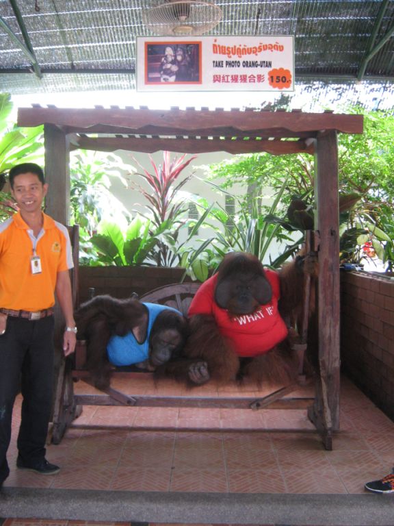 Appalling Animal Attractions, Part 2: Sriracha Tiger Zoo, Pattaya, Thailand