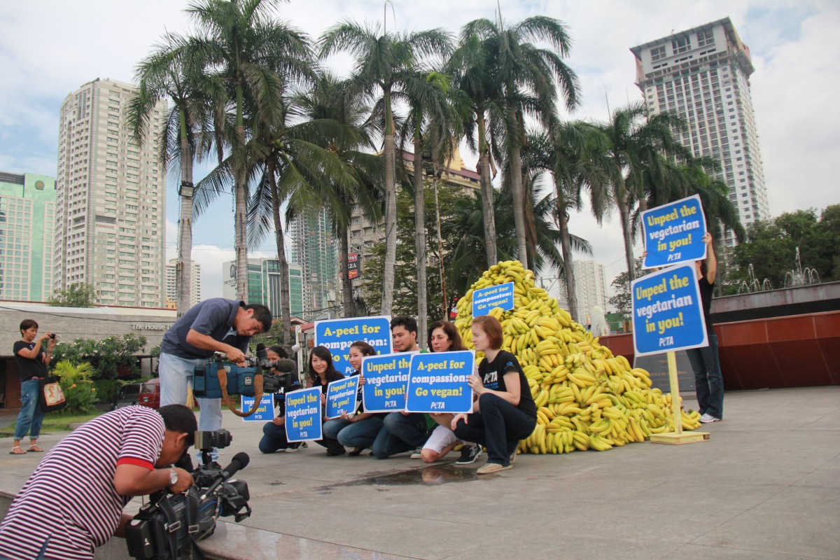 Protest Roundup: Manila Goes Bananas, Bangkok Goes Green, and Activists Get Cagey in Hong Kong