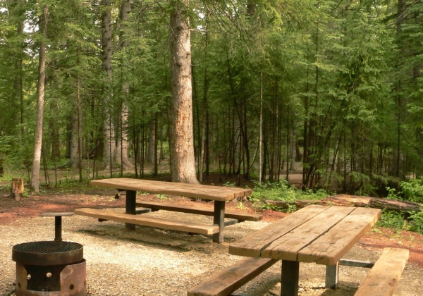 Peaceful Picnicking Protects Our Wildlife