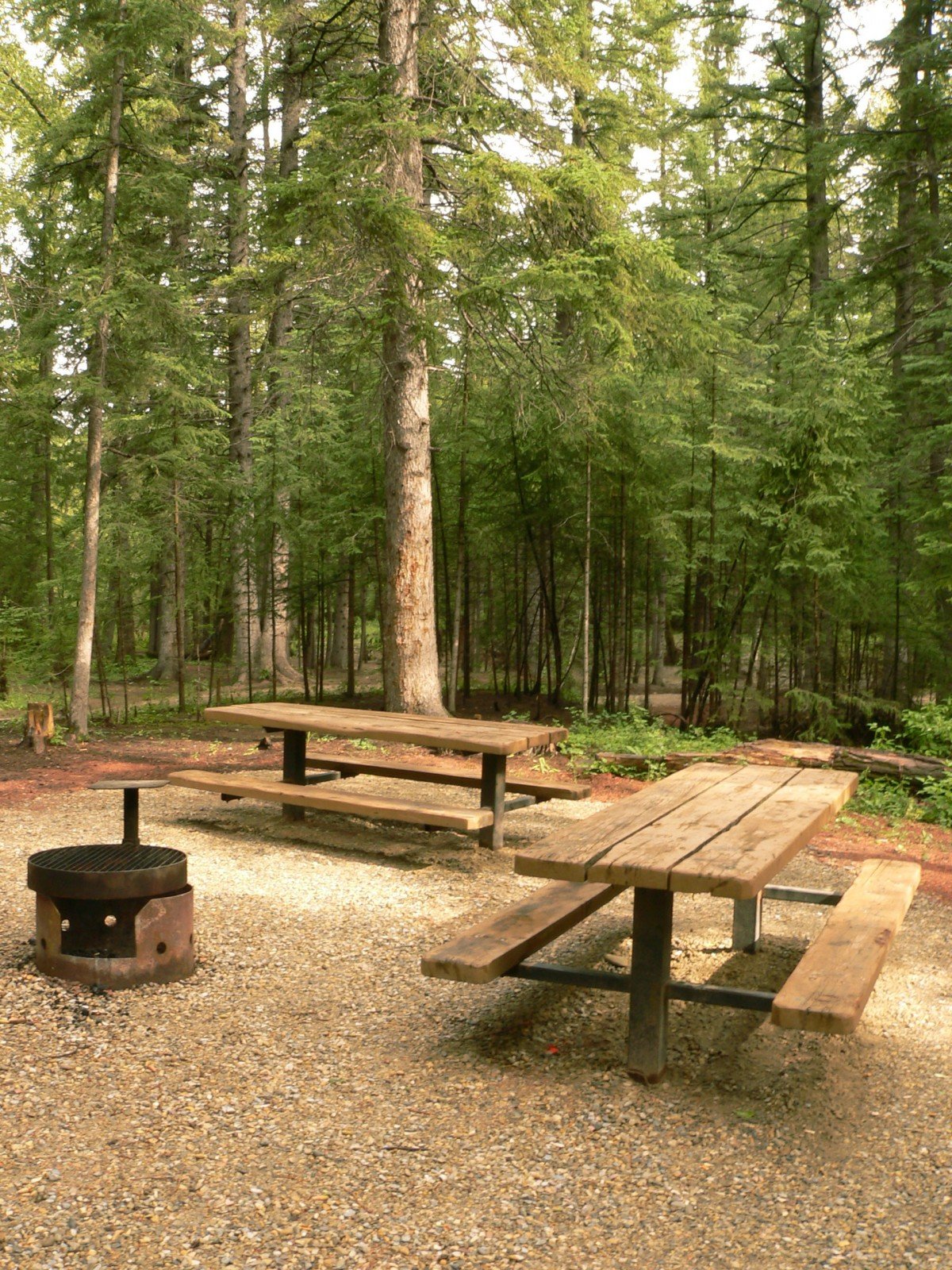 Peaceful Picnicking Protects Our Wildlife