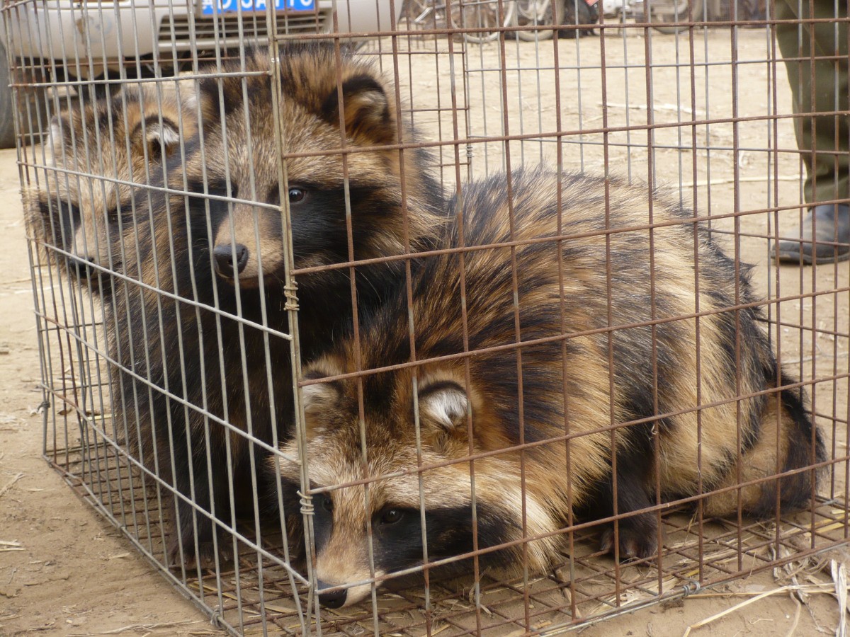 Faces of the Fur Industry (Photo List)