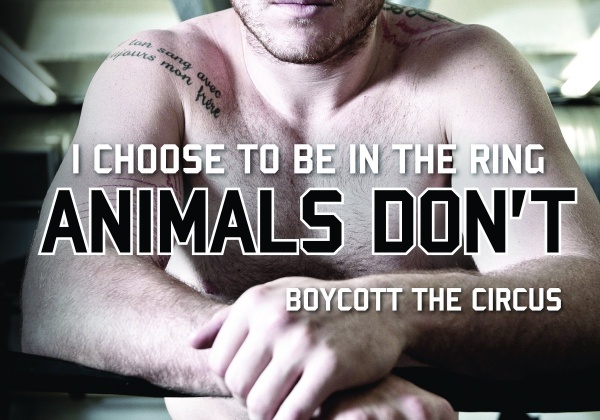 South African Mixed Martial Artist Norman ‘Chef’ Wessels Fights for Animals