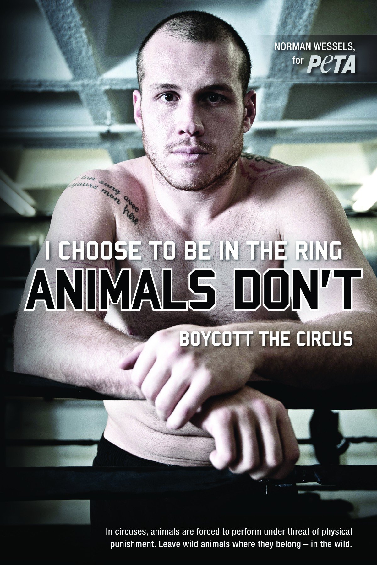 South African Mixed Martial Artist Norman ‘Chef’ Wessels Fights for Animals