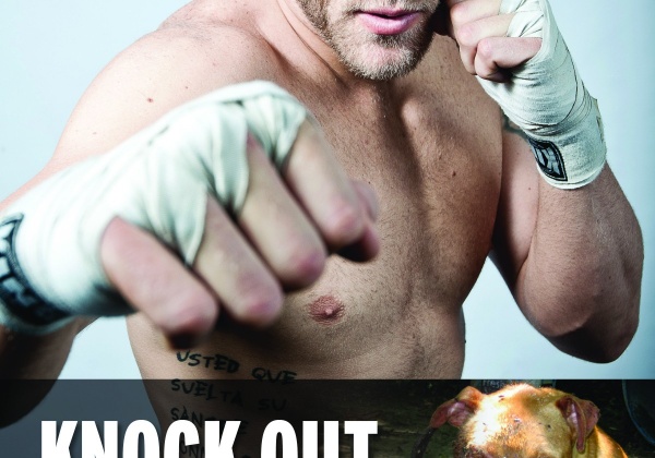 MMA Fighter Garreth McLellan Knocks Out Cruelty!