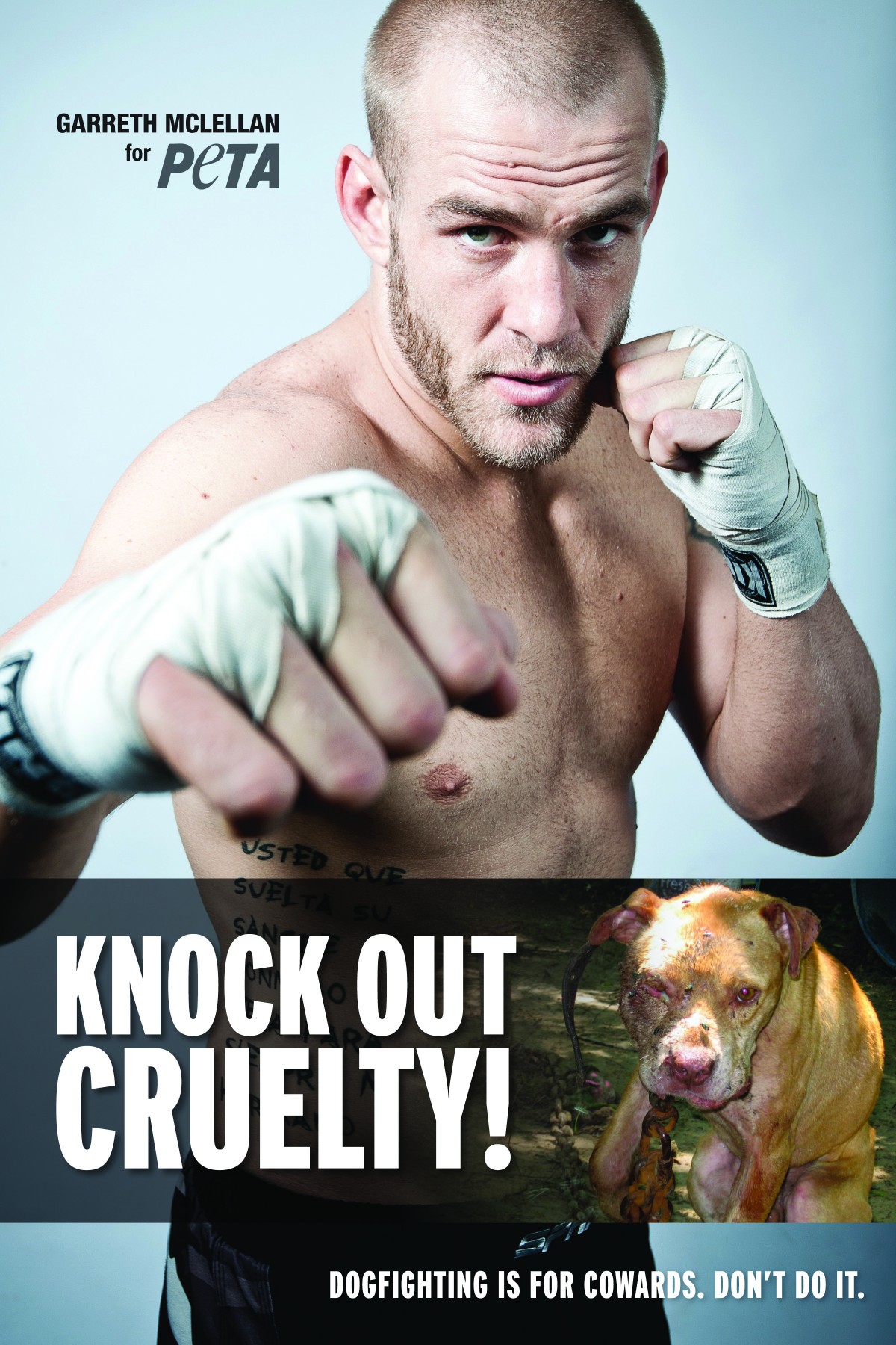 MMA Fighter Garreth McLellan Knocks Out Cruelty!