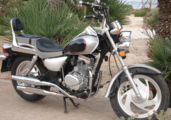 Vegan Bikers!
