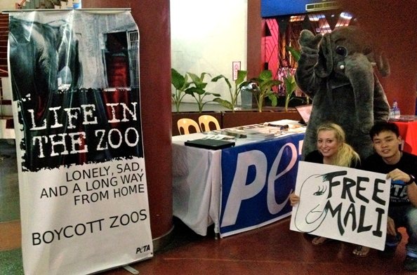 Smashing Pumpkins concert tabling