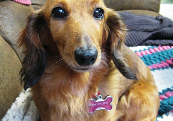 A Year in Review: An Update on Belle