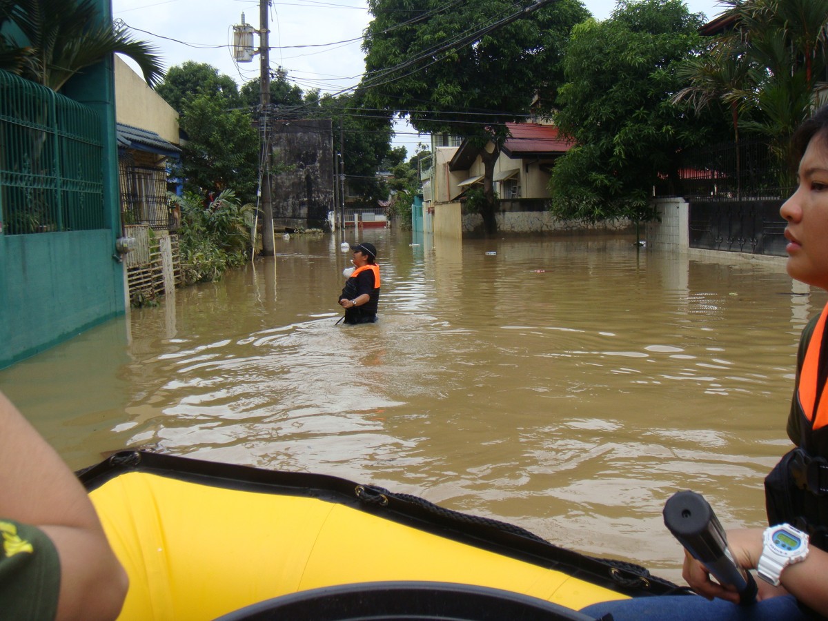 PETA animal rescue Philippines