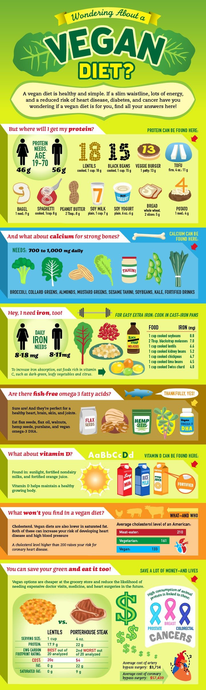 Vegan health infographic