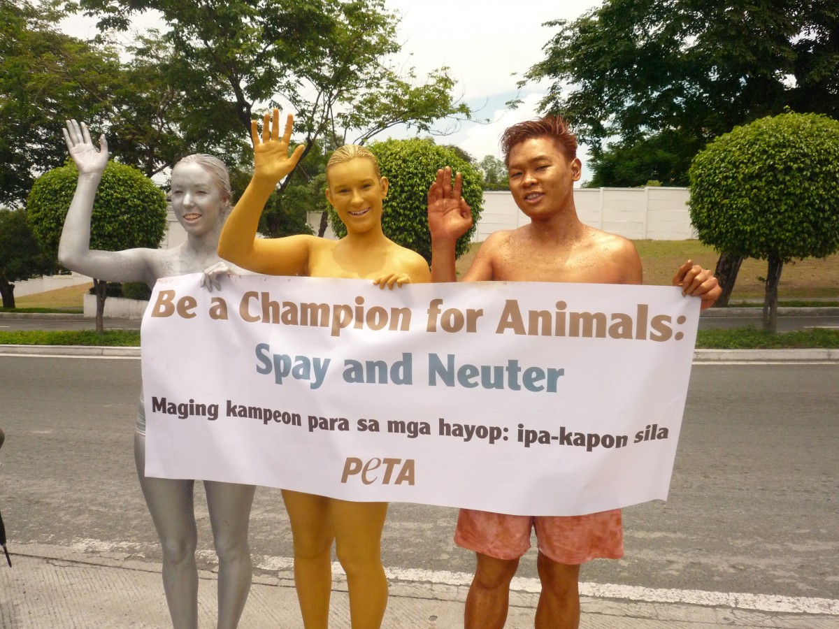 Manila spay and neuter protest