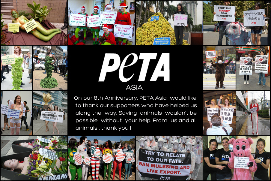 Happy Birthday to PETA Asia!!