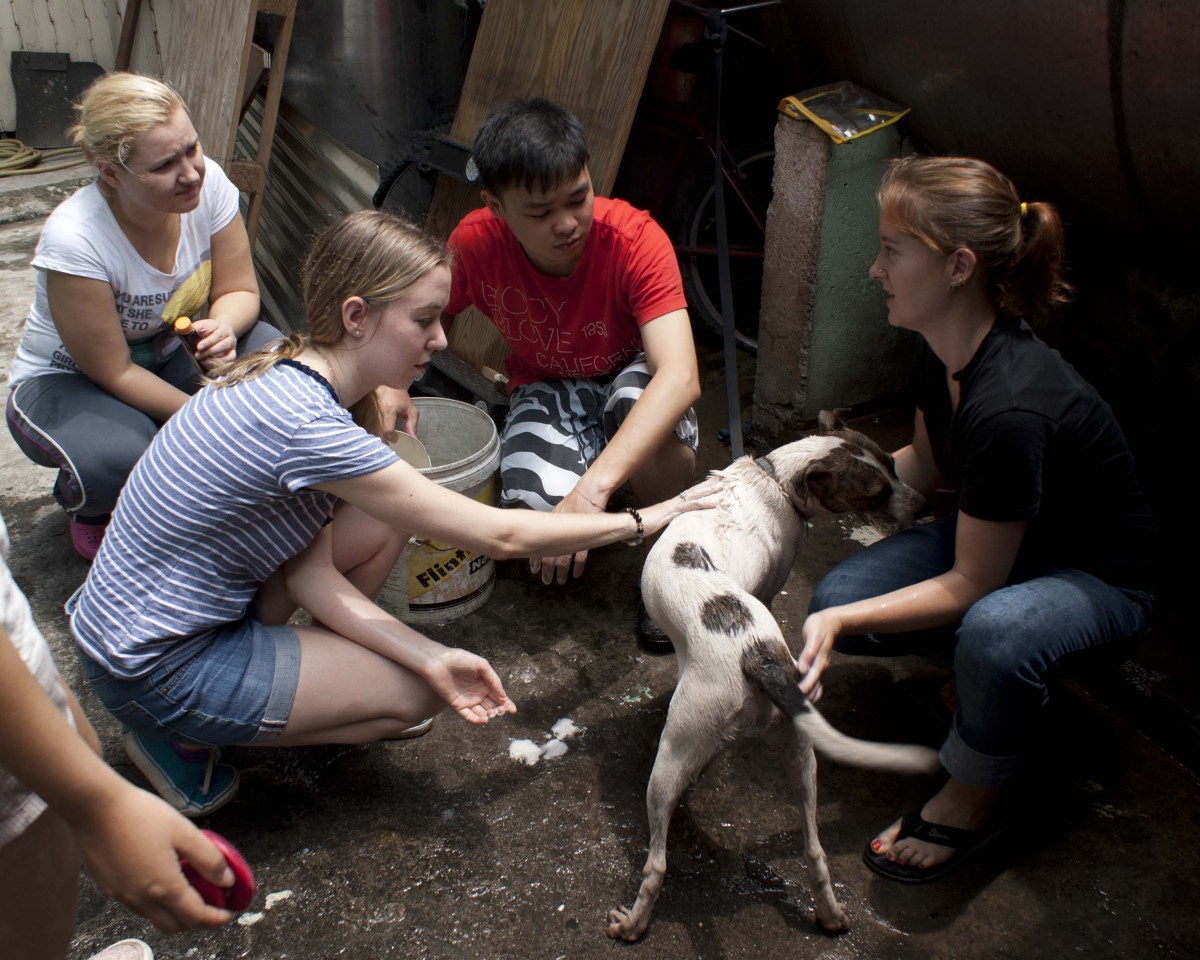 PETA staffers bathing dog