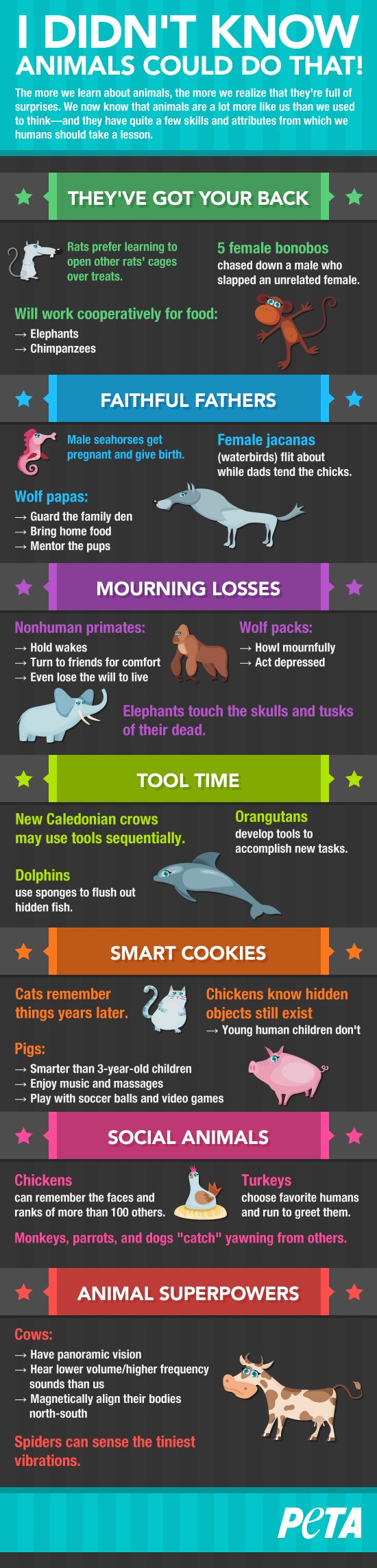 i-didn't-know-animals-infographic