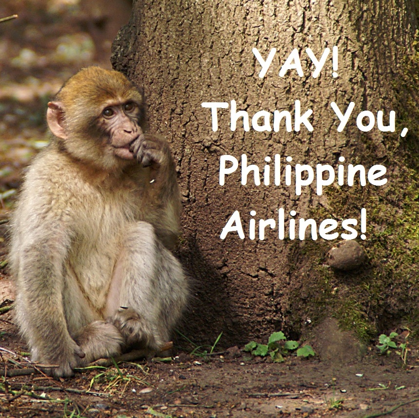 Monkey Philippine Airlines