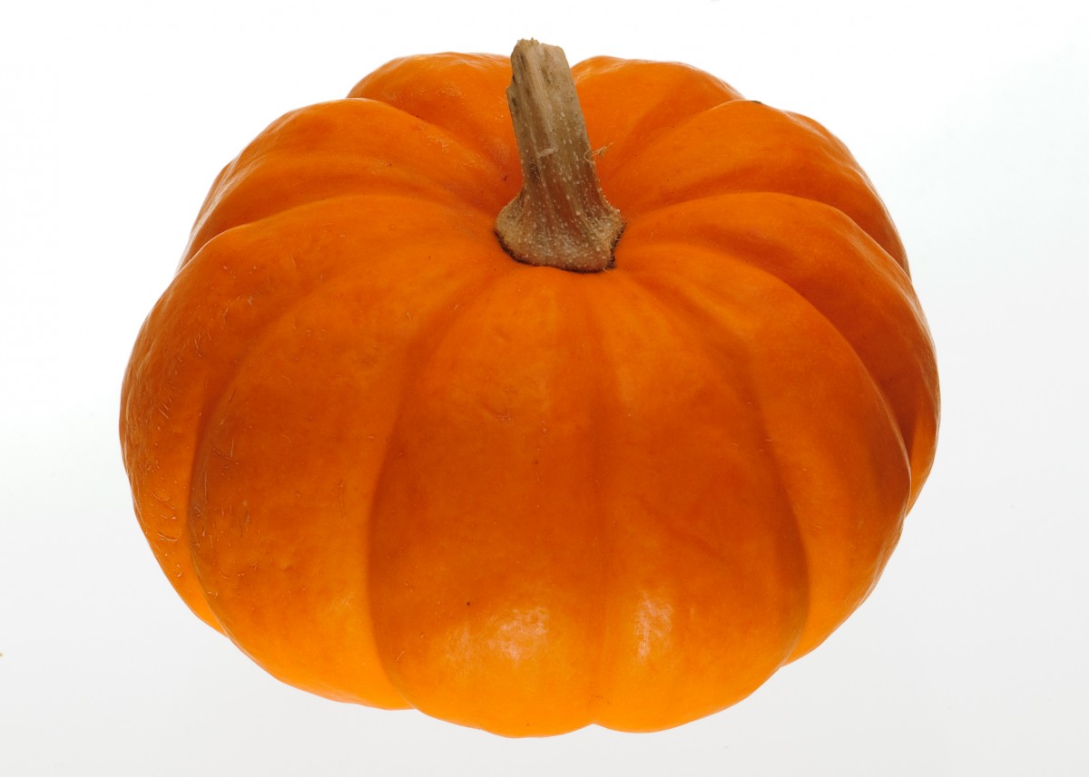 Pumpkin